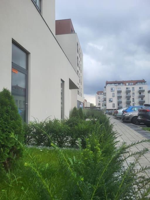 Olive Tree Apartment - Klimatyzacja - Air Conditioning-Self-Check-In Katowice Exterior photo