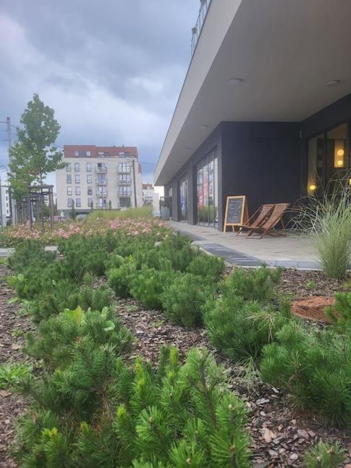 Olive Tree Apartment - Klimatyzacja - Air Conditioning-Self-Check-In Katowice Exterior photo